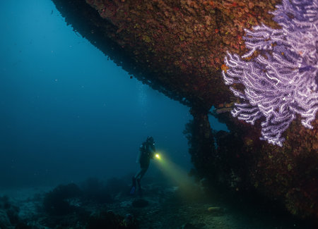 A scuba diver explores a sunken ship off the coast of Aruba, surrounded by clear tropical waters and vibrant marine life.の写真素材