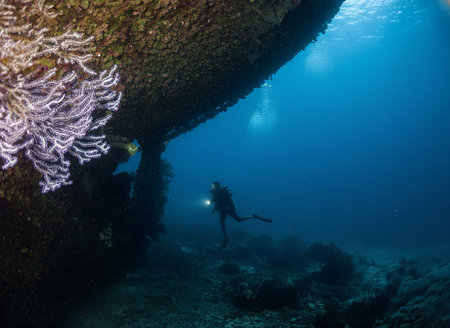 A scuba diver explores a sunken ship off the coast of Aruba, surrounded by clear tropical waters and...