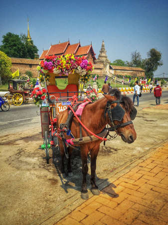 Horse carriage in Lampang Thailandの素材