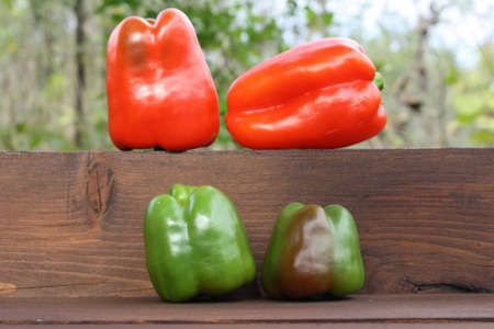 peppersの写真素材