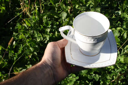 Cup and saucerの写真素材