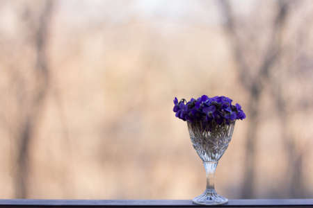 a bouquet of purple violets in a glassの写真素材