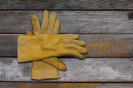 yellow womenの写真素材