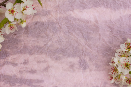 the blossoming branches of fruit trees on old texture