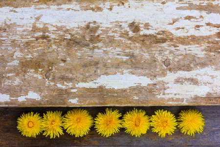 the spring flowers on old wooden textureの写真素材
