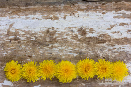 the spring flowers on old wooden textureの写真素材