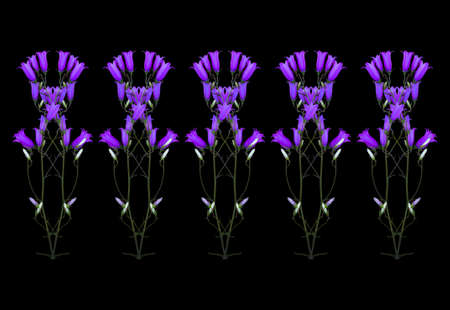 collage ornament isolated on black background wild flowers of bells arranged in a rowの写真素材