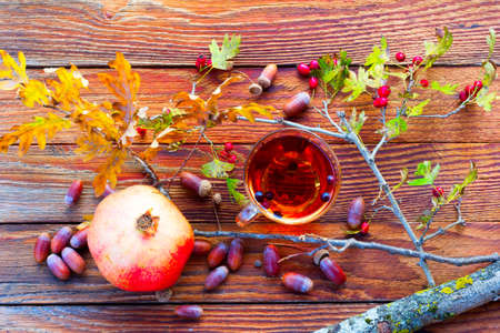 the infusion of hawthorn berries on wooden boards among the acorns, pomegranates, oak and hawthorn twigs with fruitsの写真素材