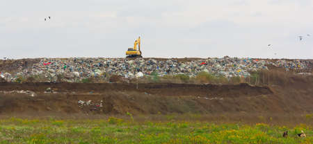 excavator at the garbage dump and stray dogs on the lush green wasteland and crows in the grey skyの写真素材
