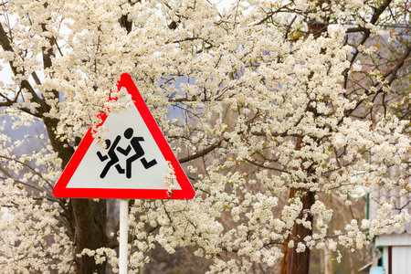 Warning road sign - Children, in the branches of a flowering fruit tree. The concept of child safety...