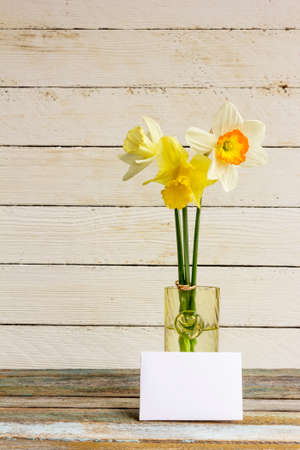 Three spring flower yellow and white daffodils with Golden wedding rings in glass vase with greeting blank card on a white wooden background. The Provence style, rustic. With space for textの写真素材