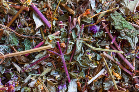 Herbal teas herbs, homeopathy. vegetable raw materials for preparation of tea beverages, medicinal product. alternative medicineの写真素材