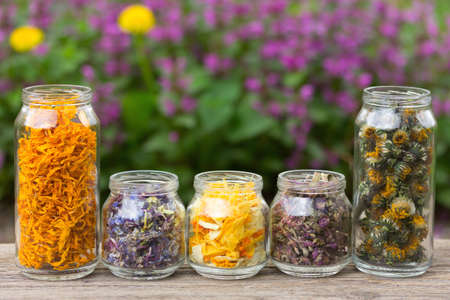 herbs and flower petals in glass jars on the background of blossoming spring plants. with space for text. the concept of aromatherapy, homeopathy, alternative medicineの写真素材