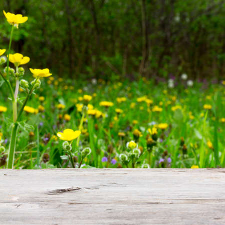 empty wooden board on a background of meadows with flowering herbs. Selective focus, shallow depth of field. square photo. for product display montageの写真素材