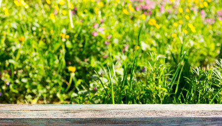 empty wooden board on a background of meadows with flowering herbs in the summer sunny day....