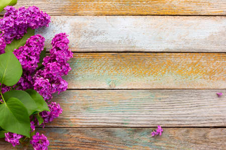 branch of purple lilac flowers with green leaves on wooden plank background. with space for posting informationの写真素材