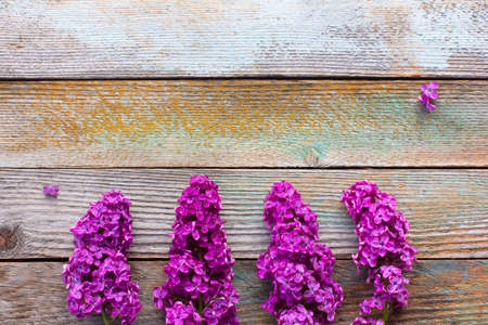 branches of purple lilac flowers on wooden plank background. with space for posting informationの写真素材
