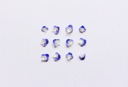 Pattern with blue flower petals on a white background. Flat lay, top view