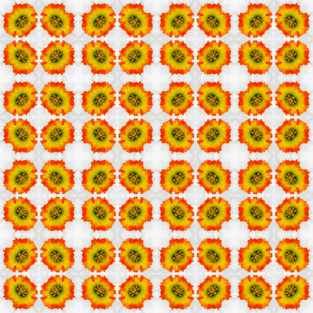 abstract decorative pattern of orange flowers on the Narcissus with a kaleidoscope effect. for greetings or wrapping paperの写真素材