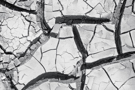 texture of dried earth in the cracks close up, black and white photo