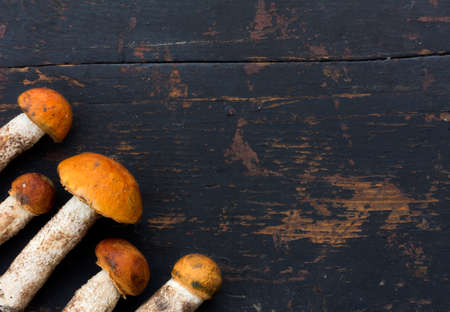 Fresh Edible wild Mushrooms orange-cap Boletus (Leccinum aurantiacum) On the Old Black Wood Background. Top View Closeup. With Space For Your Textの写真素材