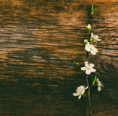 blooming branch on old wooden grunge background, with space for text. tinted photoの写真素材