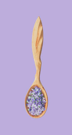 delicate blue flower petals in a wooden spoon close-up isolated on a blue background, top viewの写真素材