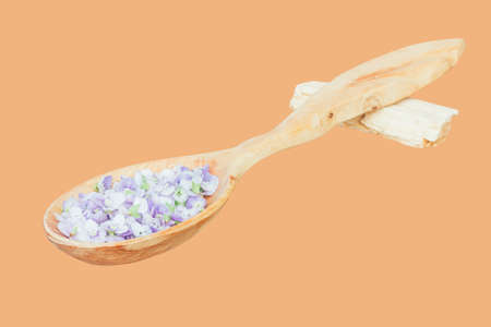 delicate blue flower petals in a wooden spoon isolated on background skin colorの写真素材