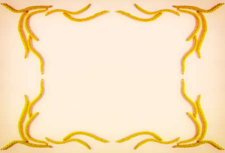 Abstract floral composition, vintage frame of yellow flowers earrings hazel on the background of the color golden edge with space for text. Flat lay, top viewの写真素材