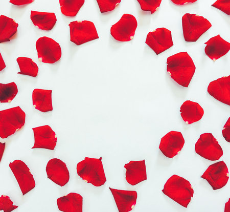 flower mosaic of the petals of scarlet roses on a white background with round space for text. Flat lay, top viewの写真素材