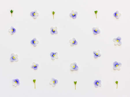 Pattern with blue flower petals and green leaves on a white background. Flat lay, top viewの写真素材