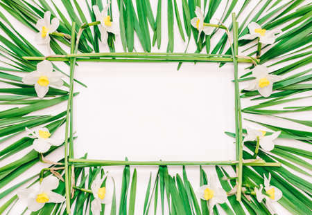 Floral rectangular frame of yellow flowers of daffodils and green leaves on white background with space for text, top viewの写真素材