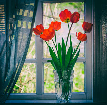 bouquet of flowers red tulips in a glass vase on the windowsill closeup. retro tinted photo with the vignetteの写真素材