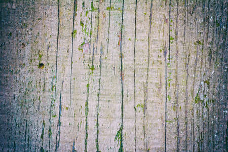 old white wood background texture with vignette and space for textの写真素材