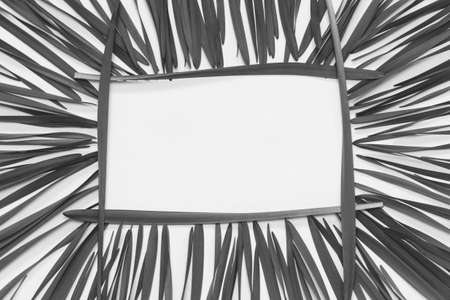 floral rectangular frame  leaves on a white background with space for text, top view. black and white photoの写真素材