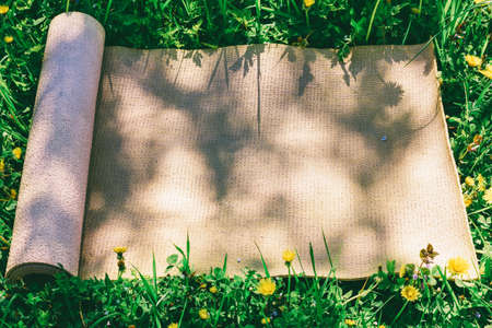 A yoga mat, a tourist rug on a green meadow in a summer sunny dayの写真素材