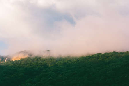 summer landscape with forest hill in the rain the cloudの写真素材