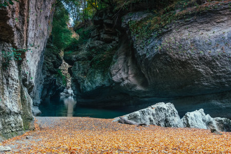 autumn landscape sandy shore of a mountain river strewn with yellow leaves