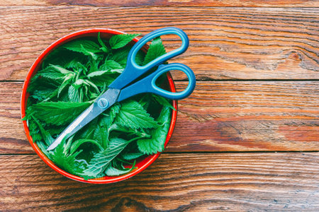 fresh nettle leaves and scissors on wooden table with copy space, top view closeupの写真素材