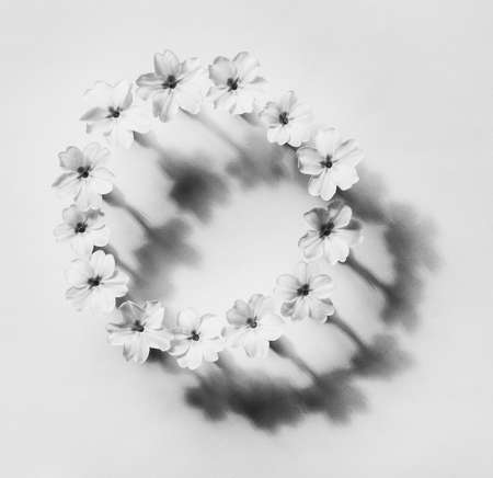 floral abstraction in the style of minimalism, round frame of flowers primrose with shadow, black and white photoの写真素材