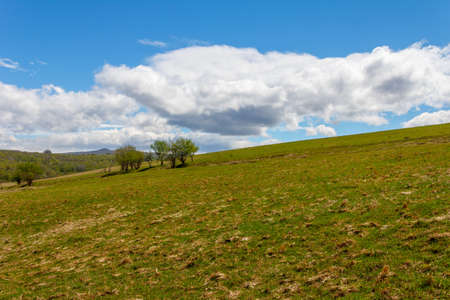 Spring rural landscape field with green grass and blue sky with cumulus cloudsの写真素材