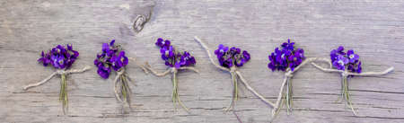 small bouquets of fragrant forest flowers of violets tied with twine are laid out in a horizontal rowの写真素材