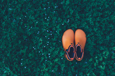 womens orange rubber boots stand on a meadow overgrown with clover, top viewの写真素材