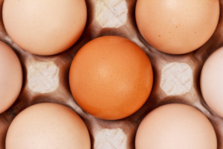 the eggs in the carton boxes laying, top view closeup