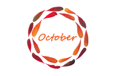 round frame of bright autumn leaves isolated on white background with inscription October, top view flat layの写真素材