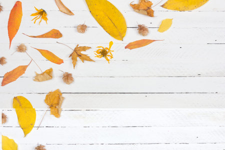 Autumn composition. Frame made of autumn dried yellow leaves on white wooden background. Flat lay,...