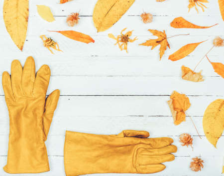 Autumn composition. Frame made of autumn dried yellow leaves and womens gloves on white wooden background. Flat lay, top view, copy spaceの写真素材