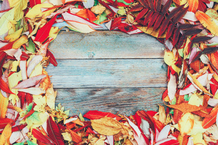 wooden background with a frame of bright colored autumn leaves with copy space