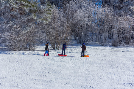 Adygea, Russia - January 23,  2017: Young couple with children riding on an inflatable sledding...