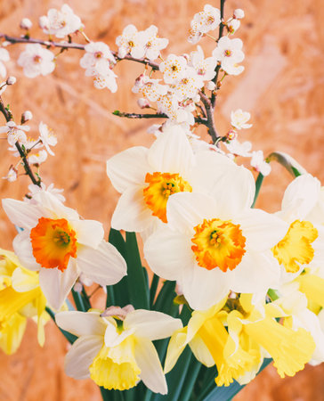 spring bouquet of Narcissus flowers and flowering branches of a fruit tree close-up